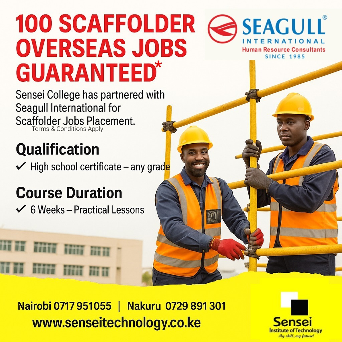 Sensei College Partners with Seagull International to Train and Place Scaffolders